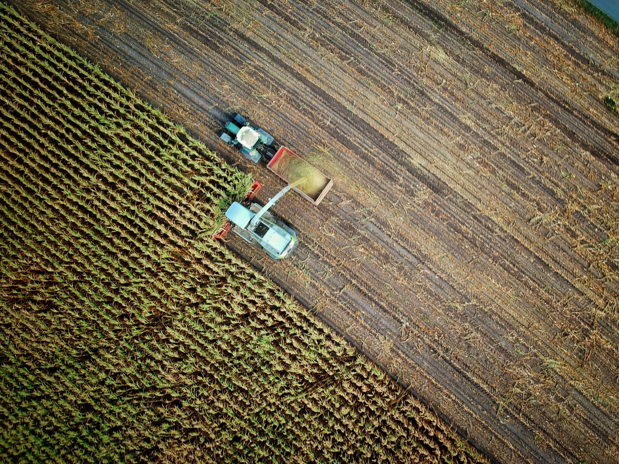 Food & Agri Research